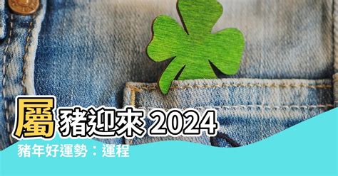 屬豬財位|【屬豬2024】2024屬豬的豬年運勢全攻略！揭曉財運、感情、健。